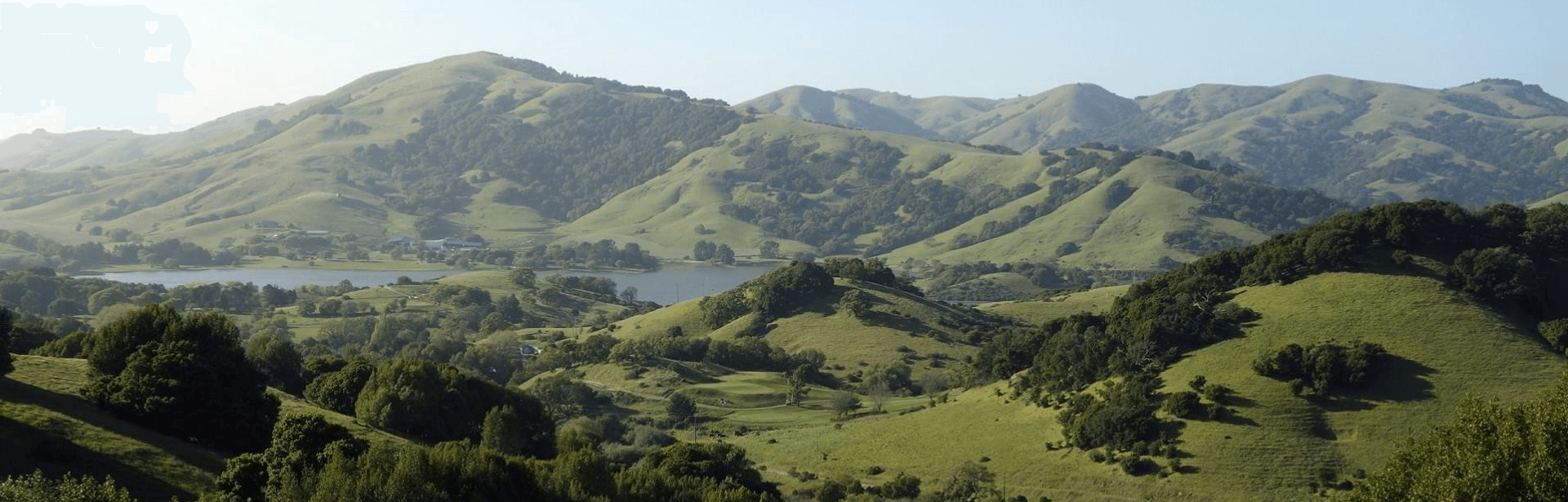 Green hills in Marin County.